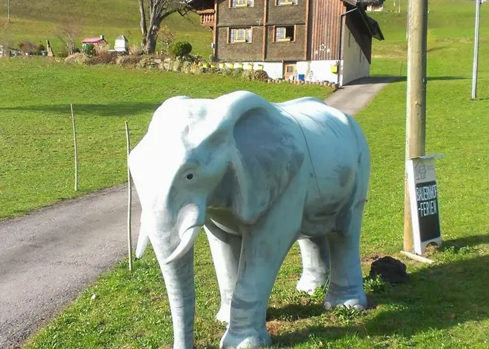 Bellahof Apartament Flumserberg